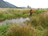 amphibian-survey-agassiz-bc