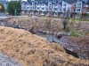 construction-of-a-new-channel-along-with-riffle-pool-habitat-and-riparian-planting