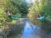 isolating-fish-salvage-area-burnaby-bc