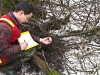 heron-rookery-monitoring