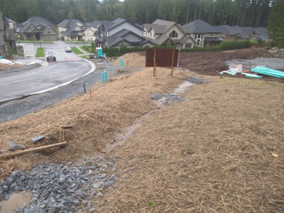 Erosion and Sediment Control and Environmental Monitoring