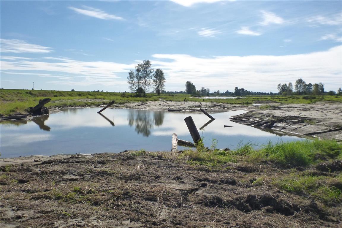 Habitat Restoration, Enhancement and Reclamation